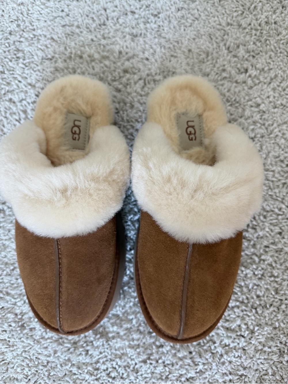 UGG Chestnut Suede Sheepskin Clog Slippers with Cream Collar